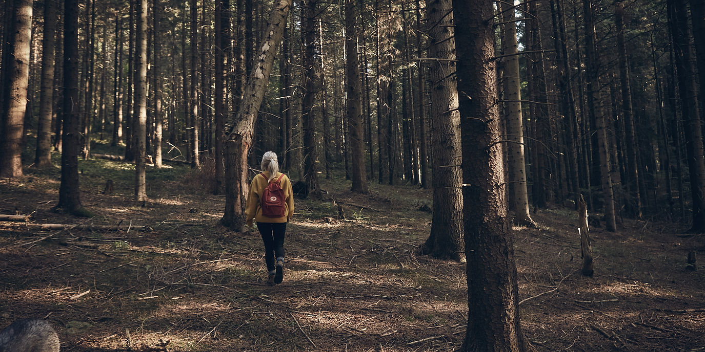 The founder's journey